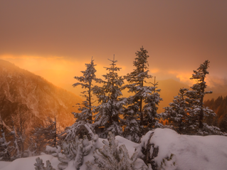 Winterlicher Bergwald im Sonnenuntergang