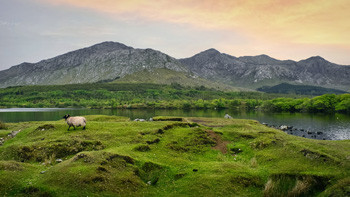 Wanderurlaub in Irland