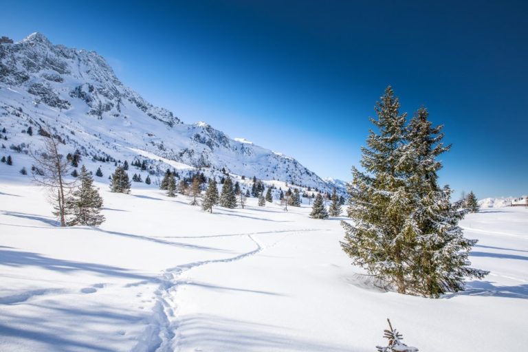 Winterlandschaft im Trentino